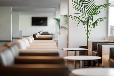 Hotel Playas de Guardamar, Lobby