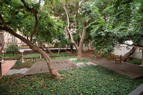 Petit Palace Boquería Garden, View from room