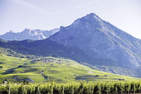 Hôtel des Bains de Saillon, Bicycling