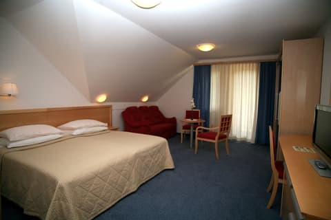HOTEL JEZERO SKI PAKET, Room