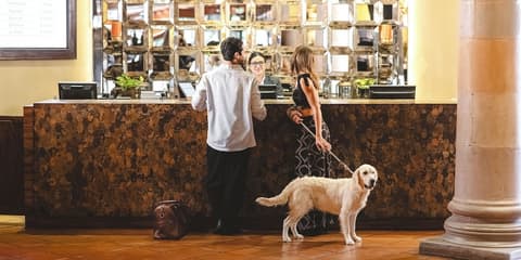 Real de Minas San Miguel de Allende, Reception