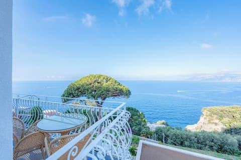 Hotel Il Pino, Reception