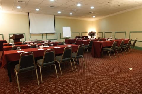 Suites del Bosque Hotel, Meeting facility