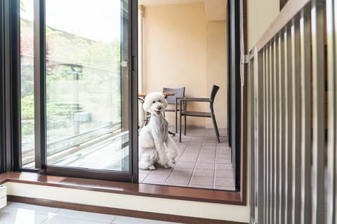 Hyatt Regency Hakone Resort and Spa, Room