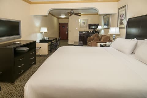 Holiday Inn Express and Suites Bakersfield Central by IHG, Room