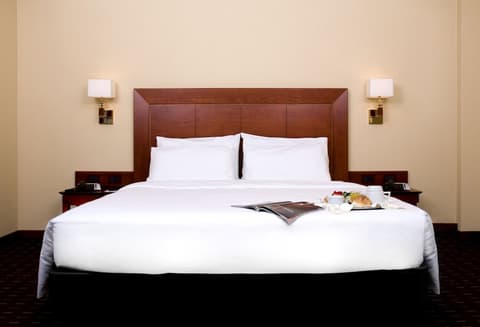 Hotel Capannelle, Room