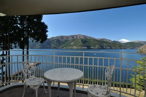 The Prince Hakone Lake Ashinoko, View from room