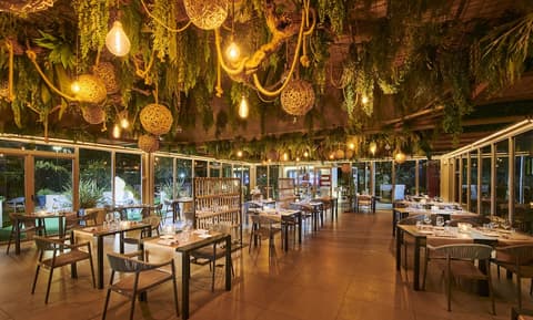 Hotel San Ranieri, Restaurant