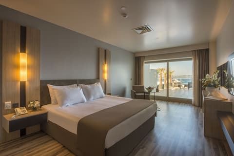 Altin Yunus Hotel & Spa, Room