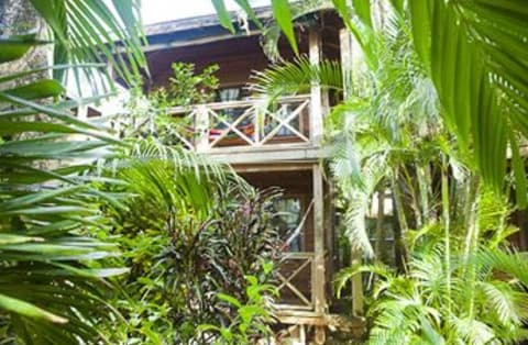 Las Rocas Resort And Dive Center, Room