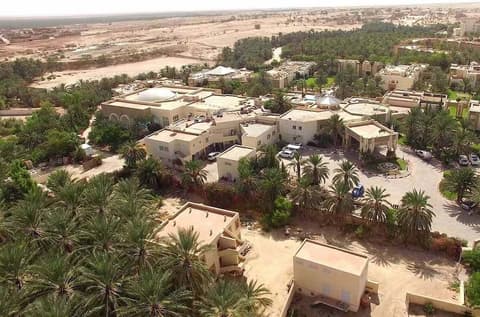 Ras El Ain, Aerial view