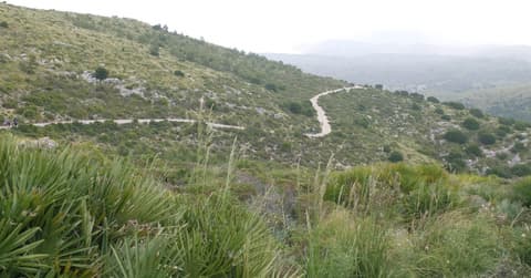 Hotel Bell Port, Bicycling