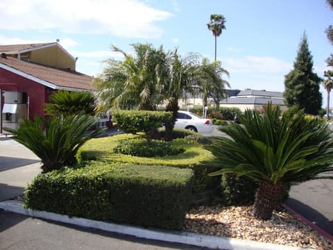 Oasis Inn Sacramento - Elk Grove, Property grounds