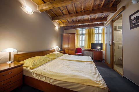 Hotel & Residence U Tri Bubnu, Room