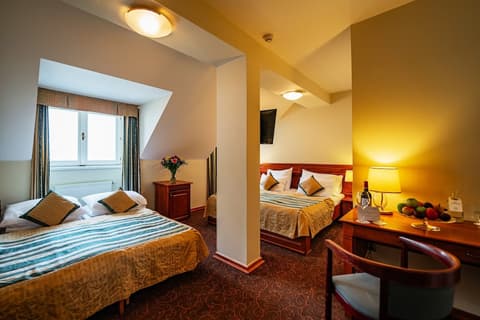 Hotel U Divadla, Room