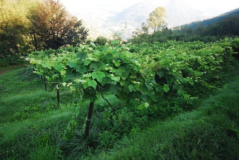 Agriturismo Al Marnich, Ecotours