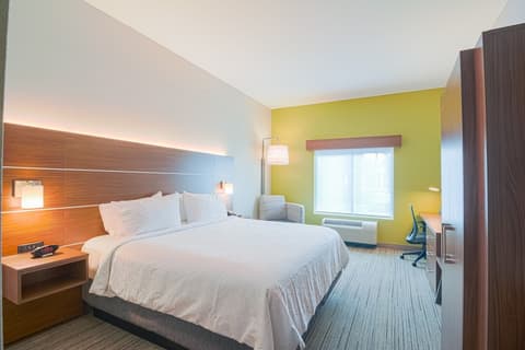 Holiday Inn Express & Suites Tampa USF Busch Gardens by IHG, Room