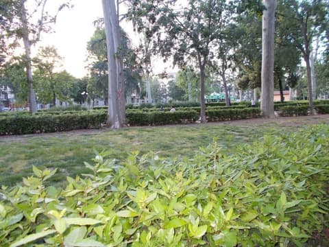 Hotel D'Azeglio, Property grounds