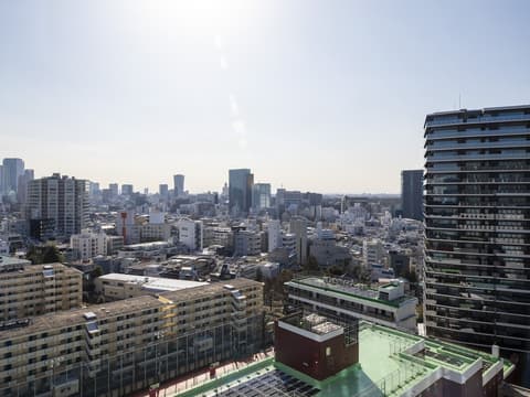 Nippon Seinenkan Hotel, View from room