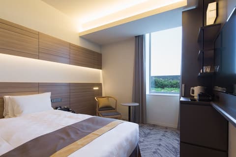 Nippon Seinenkan Hotel, Room