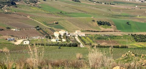 Fattoria Manostalla, Property grounds