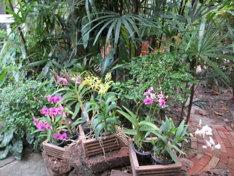 Real Relax Resort & Beauty Massage, Garden