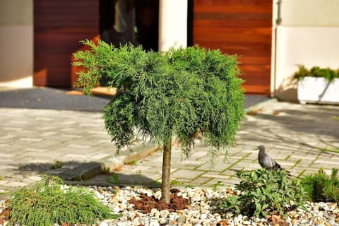 Hotel Orient Zagreb, Property grounds