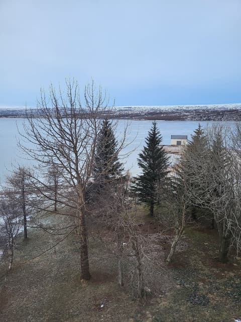 Lake Hotel Gistihusid Egilsstadir, View from room