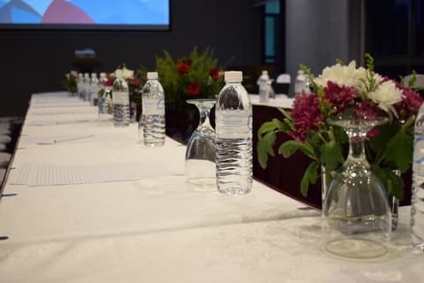 Avillion Cameron Highlands, Meeting facility