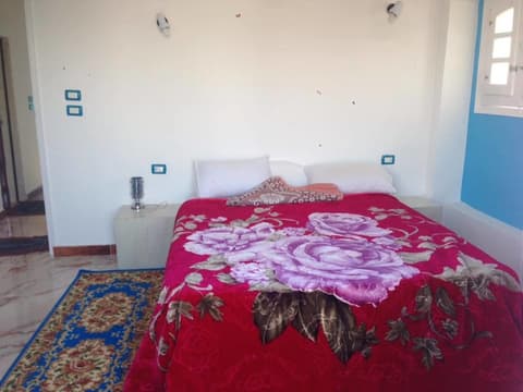 Luxor Guest House, Room