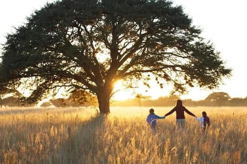 DIA Layover, Property grounds