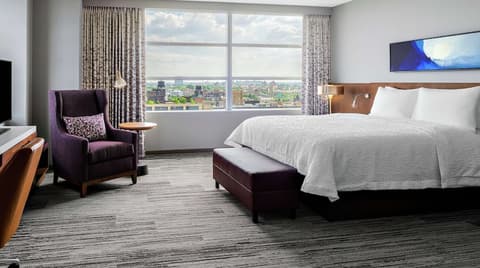 Hilton Garden Inn Chicago McCormick Place, Room