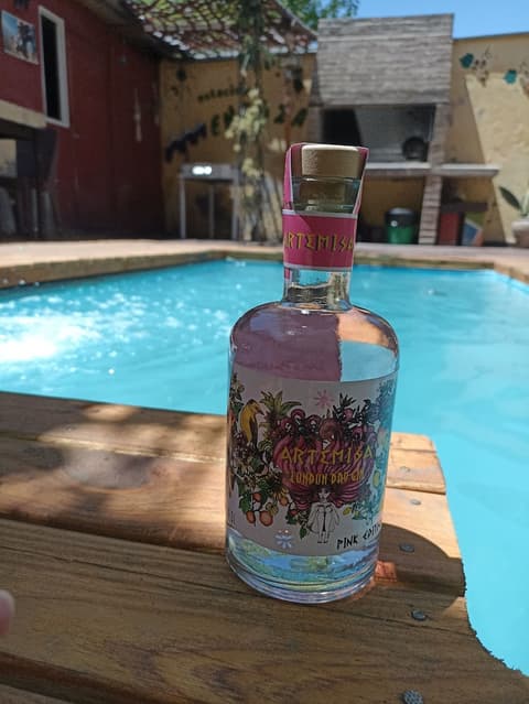 Estacion Mendoza Hostel, Terrace/patio