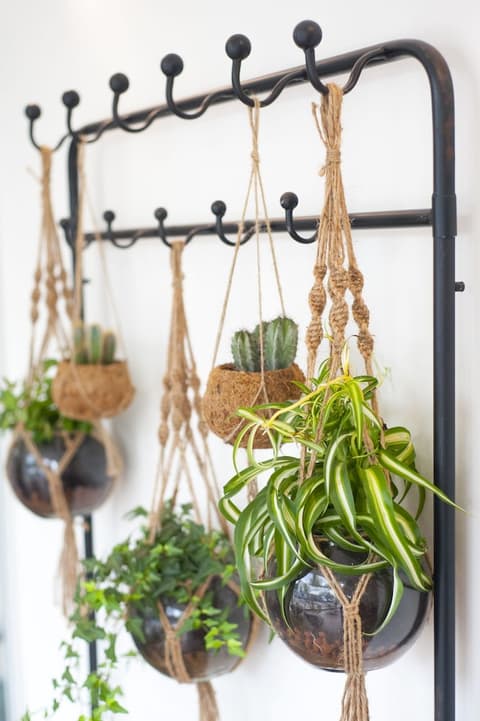 I Hotel, Interior entrance