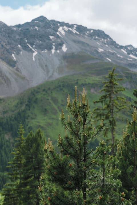 Valsana Hotel & Appartements Arosa, View from room