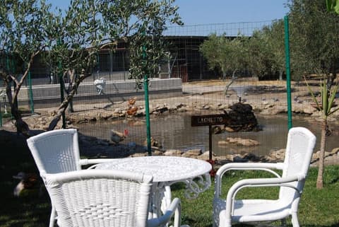 Tenuta Madre Terra Resort, Property grounds