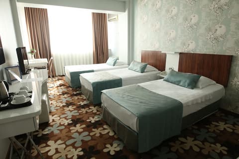 Hotel Buyuk Saruhan, Room