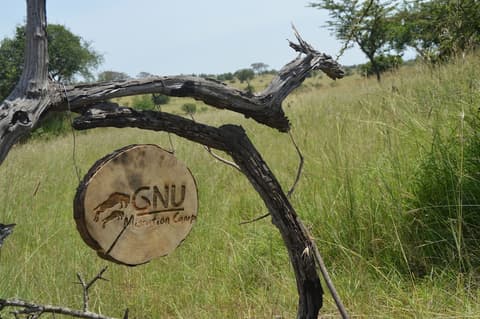 Gnu Mara River Camp, Reception