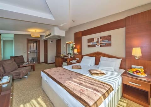 Vatan Asur Otel, Room