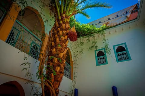 Riad Dar Mamouni, Garden