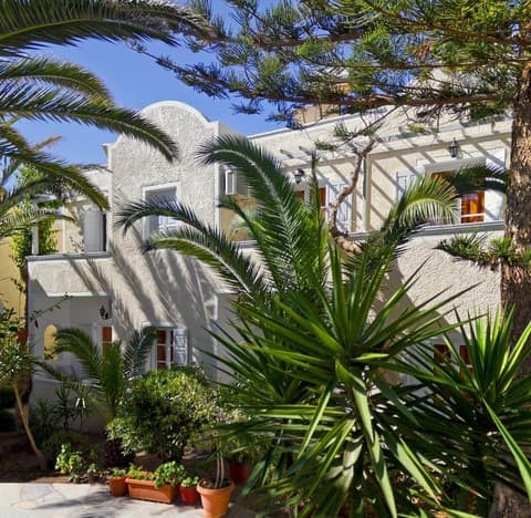 Dolphins, Property grounds