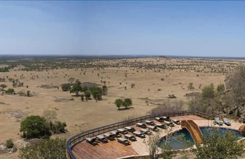 Lobo Wildlife Lodge, Exterior