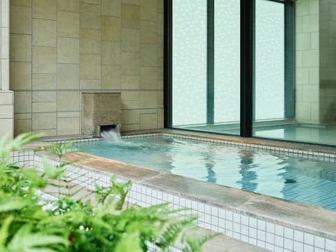 Mitsui Garden Hotel Gotanda Tokyo, Public bath