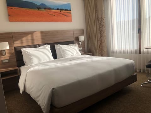 Hilton Garden Inn Tirana, Room