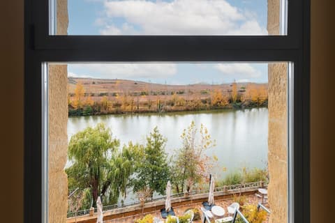 Palacio Tondon, La Rioja Brinas, View from room