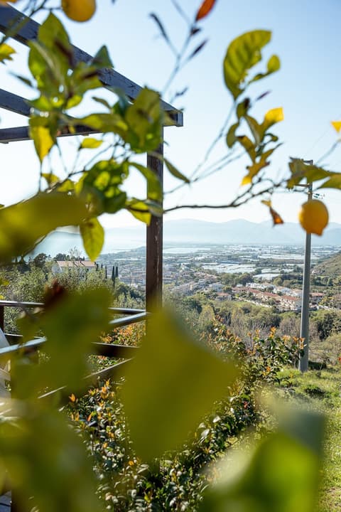 Hotel Belvedere, Exterior