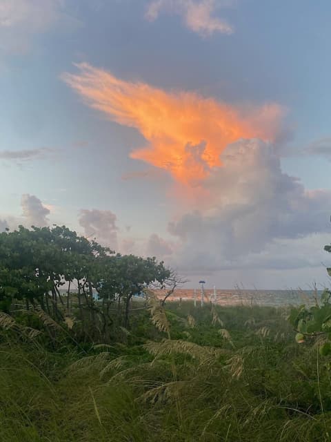 Broadmore Miami Beach, Beach