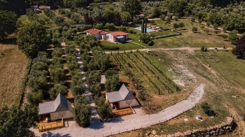I Sicomori - Seme di Carota - Glamping e appartamenti con piscina a Saturnia, Exterior