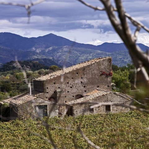 Cavanera Etnea Resort & Wine Experience, Exterior detail