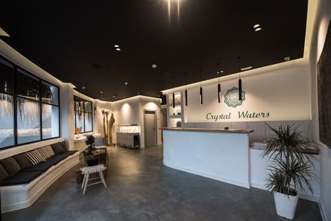 Crystal Waters, Reception